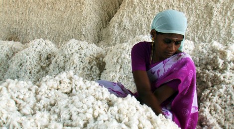 OGM e alimentazione: il parere di un Nobel per la chimica