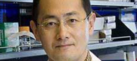 Staminali, il Nobel Yamanaka spinge l’acceleratore sulla ricerca