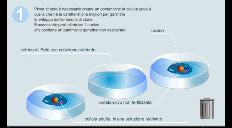 Laboratorio virtuale sulla clonazione