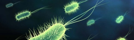 Combattere i “super-batteri” si può