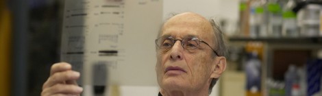 Paul Greengard: un biofisico alla scoperta del cervello