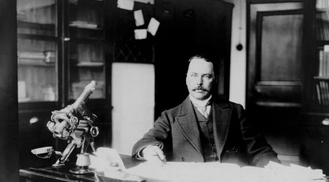 Ronald Ross alla ricerca della zanzara perduta