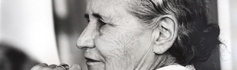 Lo Zimbabwe eredita la biblioteca personale di Doris Lessing