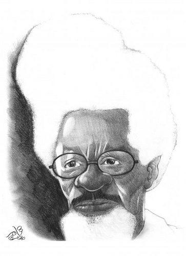 Wole Soyinka (Photo Credit: Tamer Youssef via Compfight cc)