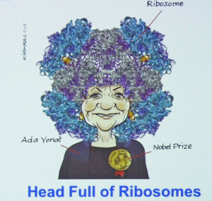 “Una testa piena di ribosomi” (Creative Commons tramite Google)