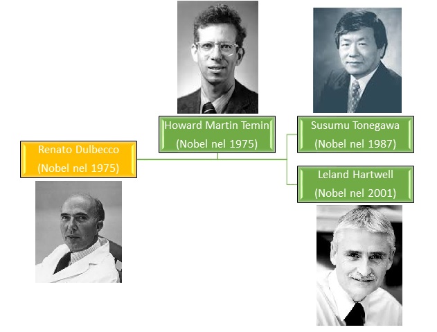 In un laboratorio diretto da un Nobel (Renato Dulbecco), nel quale lavora anche lo scienziato con il quale ha condiviso il premio (Howard Temin), può crearsi il micro ambiente ideale per altre due menti da Nobel