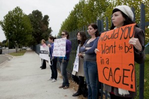 Animal_Rights_Activists_Protest_at_Circus