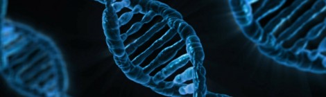 Modificare il DNA: un congresso per decidere i confini del lecito