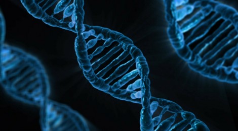 Modificare il DNA: un congresso per decidere i confini del lecito