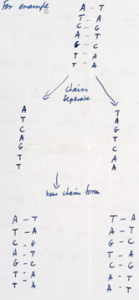 repl dna