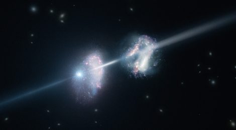 In una cometa artificiale il segreto della vita