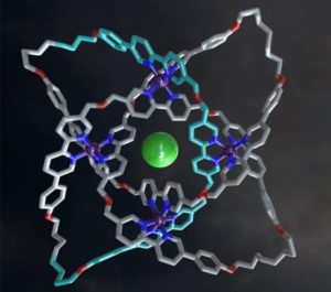 Nodo molecolare