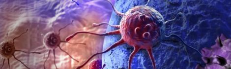 Il cancro ignora l’orologio biologico per sopravvivere