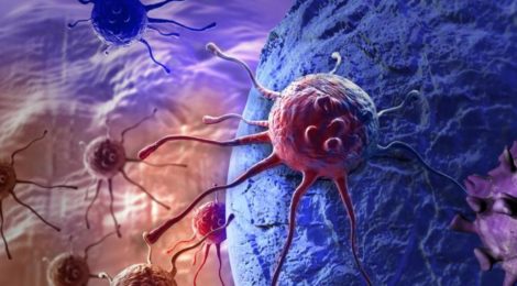 Il cancro ignora l’orologio biologico per sopravvivere