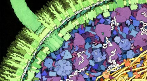 David Goodsell, lo scienziato artista che guarda dentro le cellule