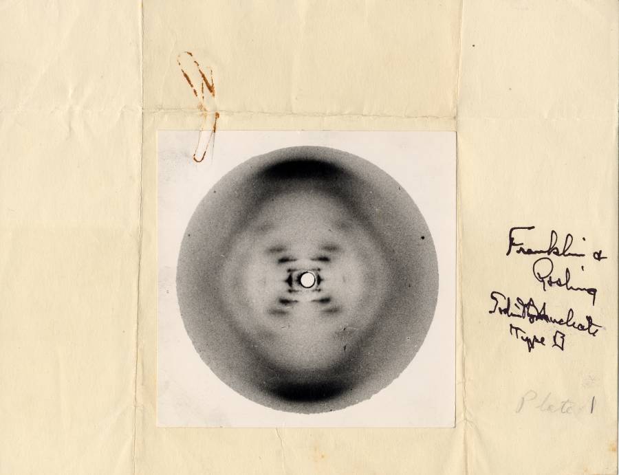 "Fotografia 51" di Rosalind Franklin - permise a Watson di intuire la struttura del DNA