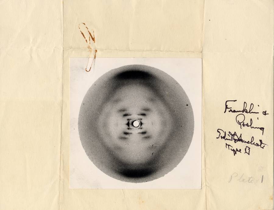 Foto 51 di Rosalind Franklin con cui Watson riuscì ad intuire la struttura del DNA "Fotografia 51" di Rosalind Franklin - permise a Watson di intuire la struttura del DNA