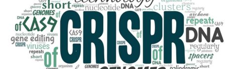 CRISPR e le dipendenze del cancro: verso una mappatura sempre più completa