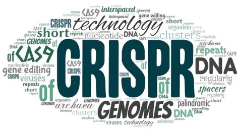 CRISPR e le dipendenze del cancro: verso una mappatura sempre più completa