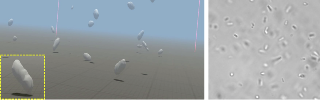 Rendering virtuale: A virtual reality interface for the immersive manipulation of live microscopic systems (Scientific Reports)