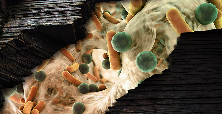illustrazione digitale di un insieme di microbi batterici