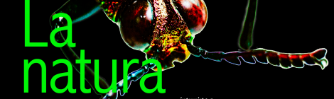 La natura