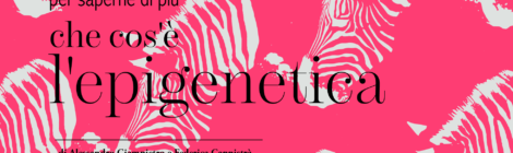 Che cos'è l'epigenetica