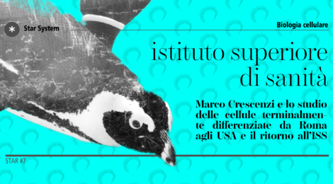 Istituto Superiore di Sanità
