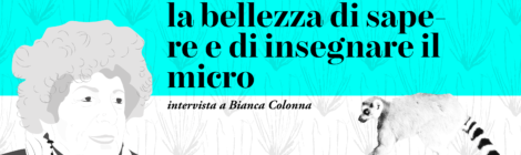La bellezza di sapere e di insegnare il micro