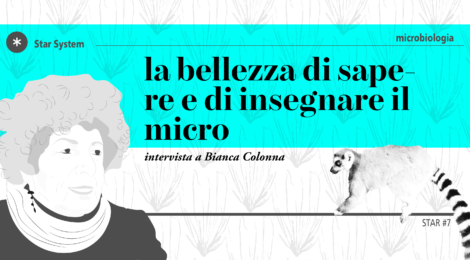 La bellezza di sapere e di insegnare il micro