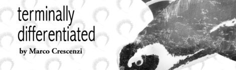 Terminally differentiated