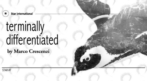 Terminally differentiated