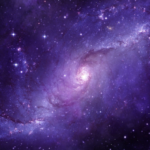 OVOSPACE procreare spazio