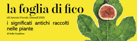 La foglia di fico