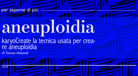 per saperne di più - aneuploidia