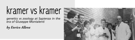 kramer vs kramer