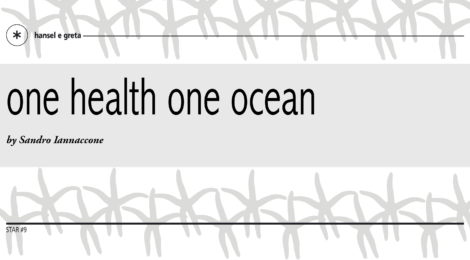 one health one ocean (eng)