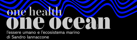 one health one ocean