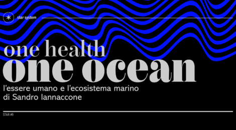 one health one ocean