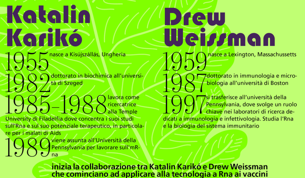 Biografie dei vincitori, Katalin Karikò e Drew Weissman

