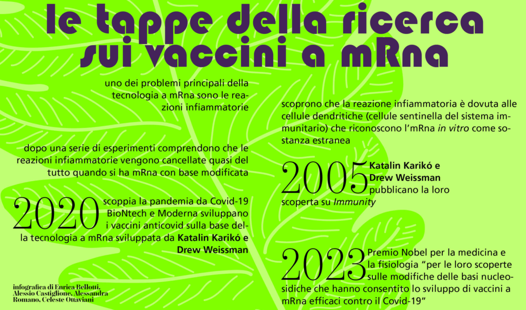 Le tappe della ricerca sui vaccini a mRNA