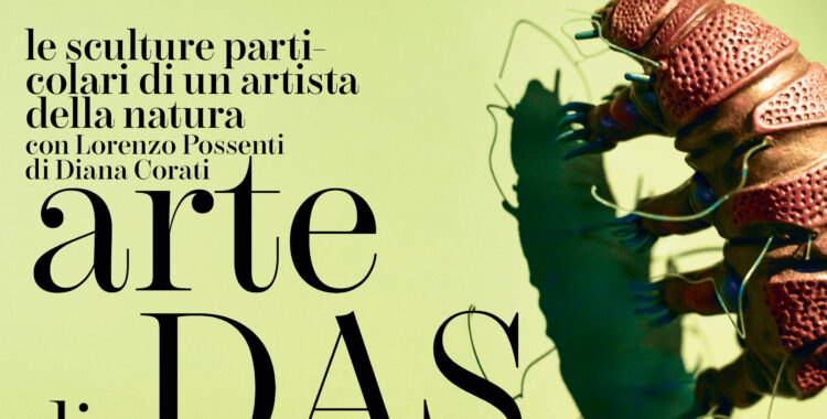Arte di DAS